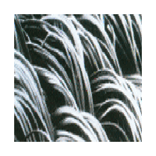 中国石化仪征化纤股份有限公司-多重复合仿毛纤维